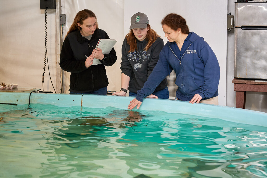 people standing in front of sea creature that looks like sting ray