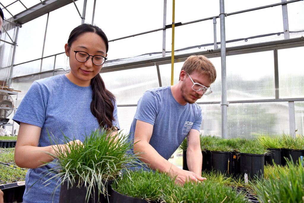 people working with plants 