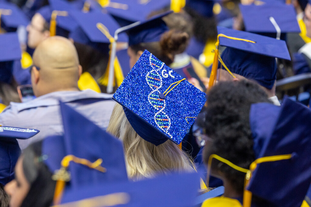 graduate caps
