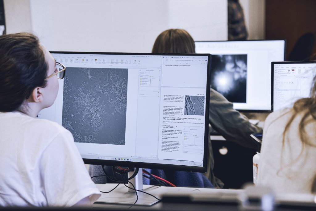 person looking at computer screen