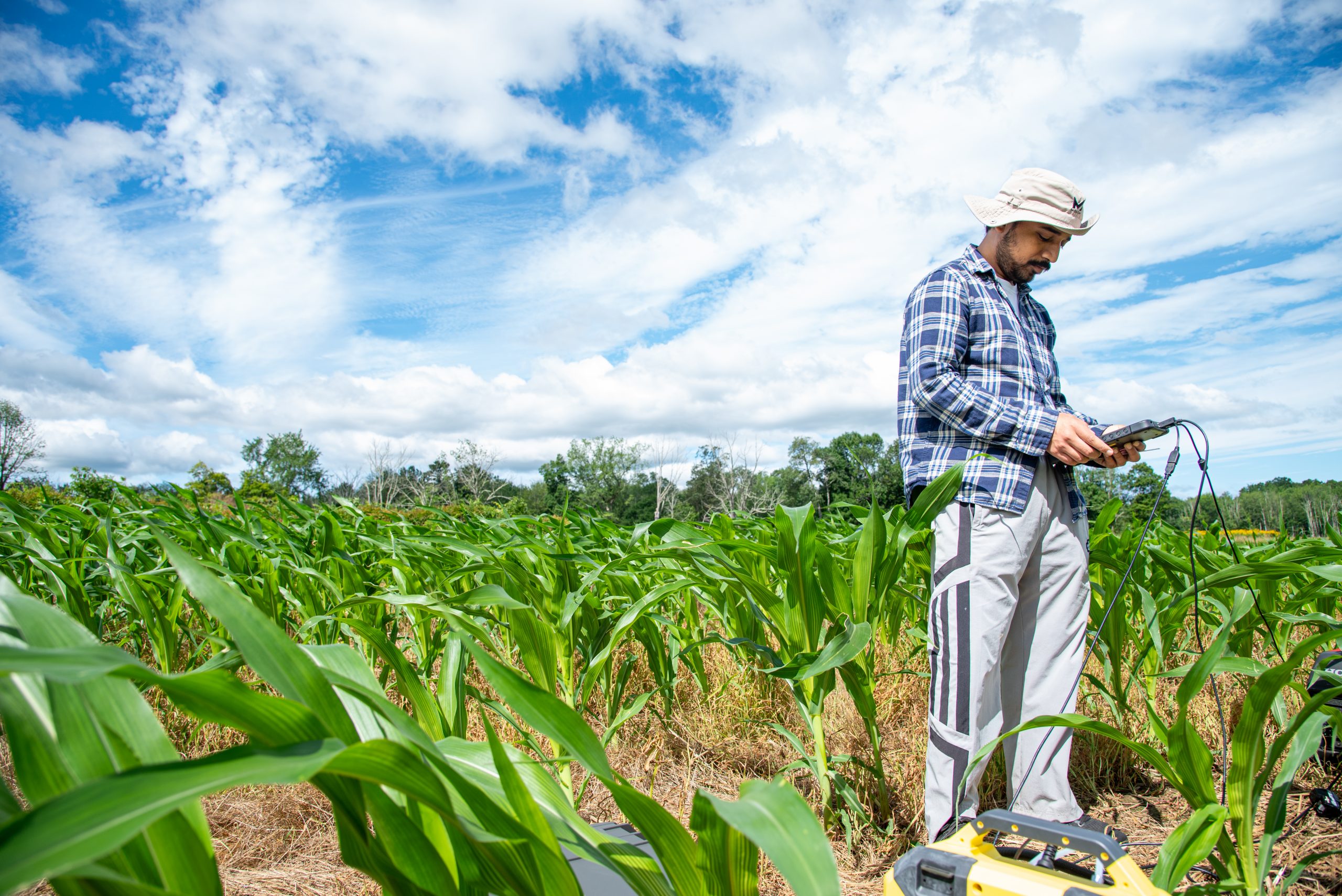 person standing in crop field